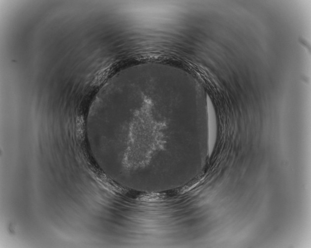 X0000096410563200802141543