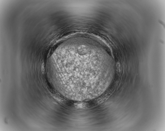 X0000096410564200802141543