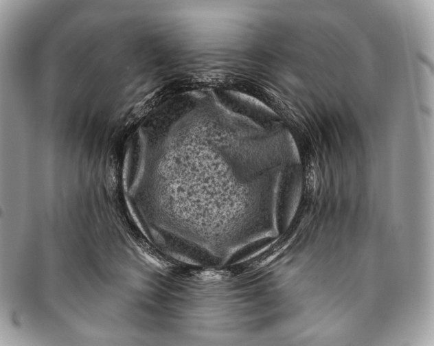 X0000096410566200802141543