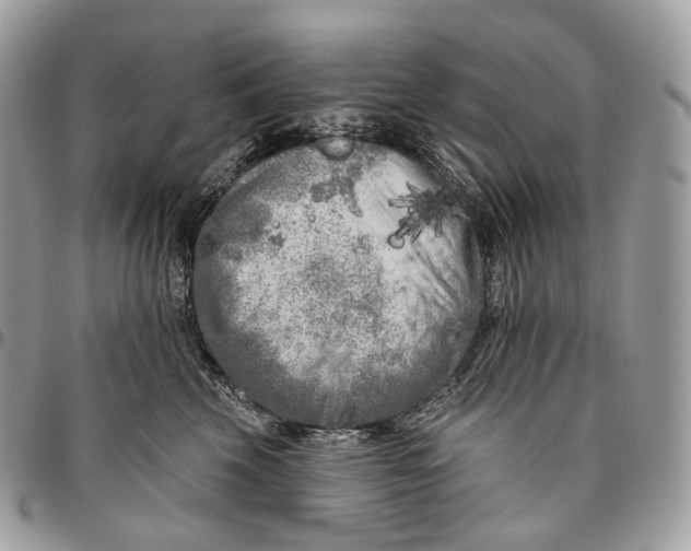 X0000096410569200802141543