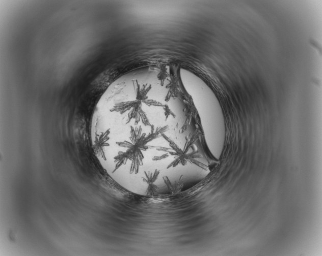 X0000096410573200802141543