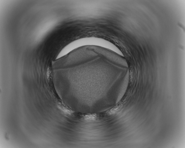 X0000096410574200802141543