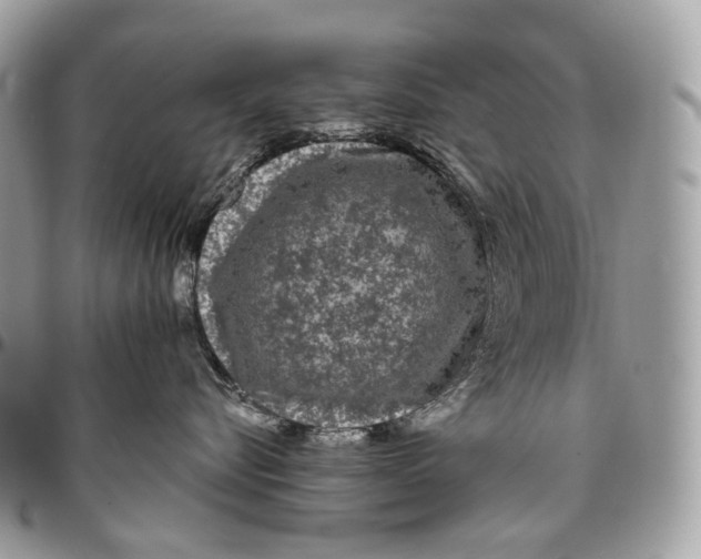 X0000096410576200802141543