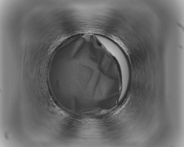 X0000096410577200802141543