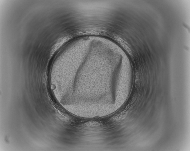 X0000096410578200802141543