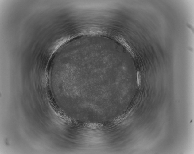 X0000096410579200802141543