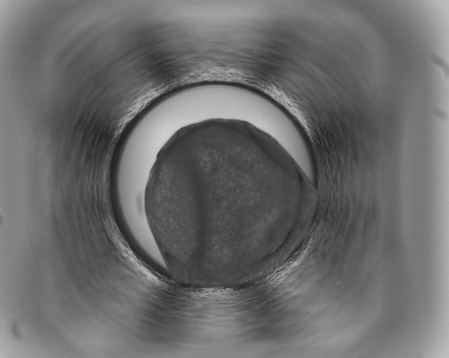 X0000096410581200802141543