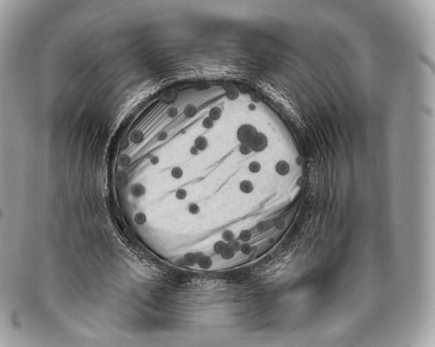 X0000096410582200802141543