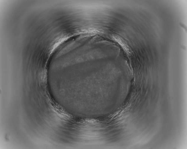 X0000096410583200802141543