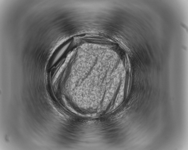 X0000096410584200802141543