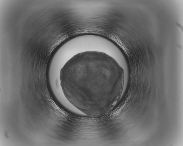 X0000096410585200802141543