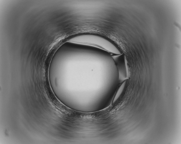 X0000096410587200802141542