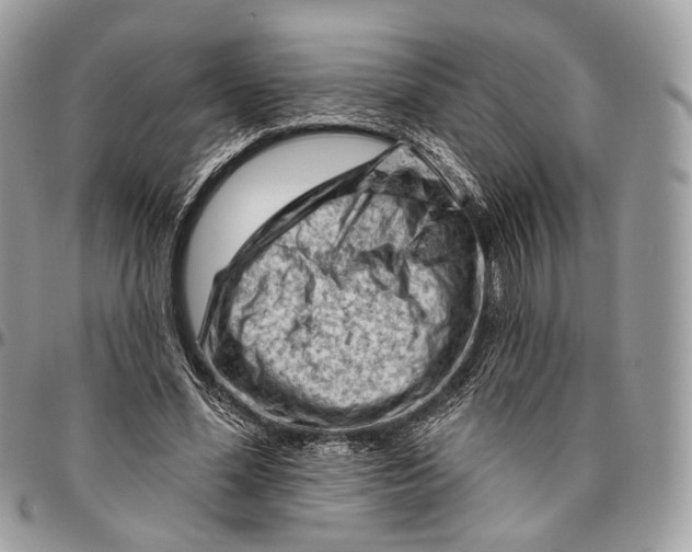 X0000096410588200802141542