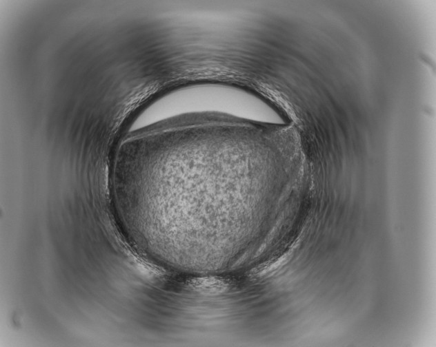 X0000096410589200802141542