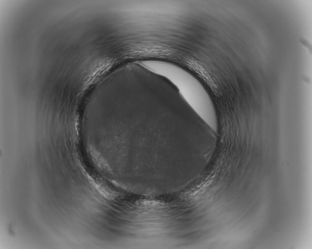 X0000096410590200802141542