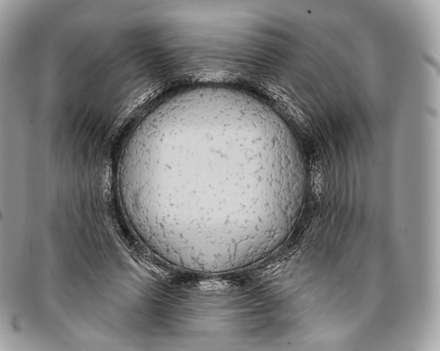 X0000096410591200802141542