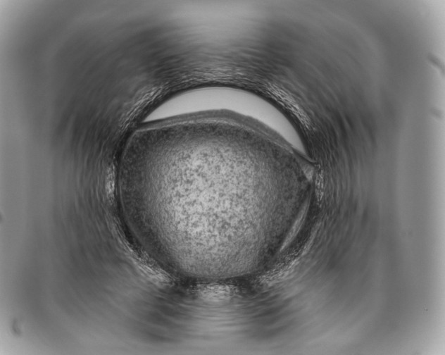 X0000096410593200802141542