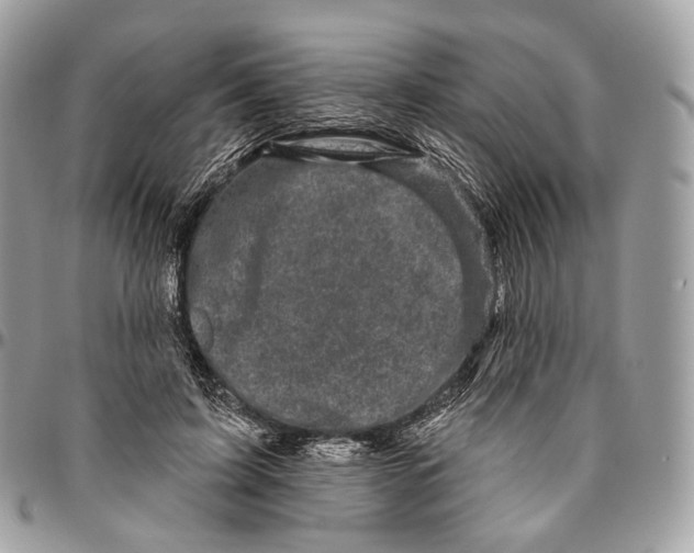 X0000096410595200802141542