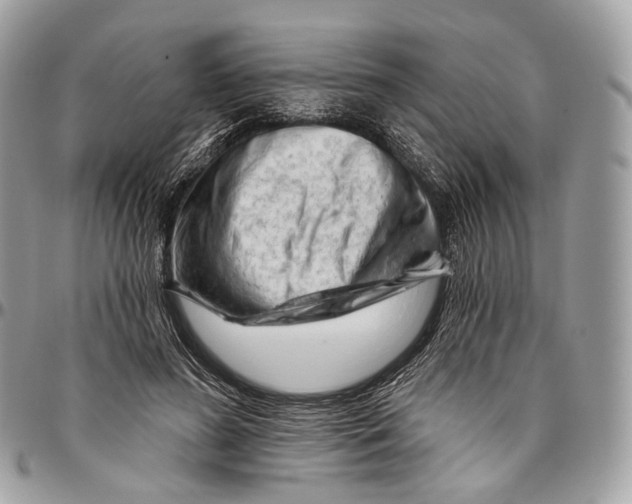 X0000096410596200802141542