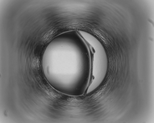 X0000096410597200802141542