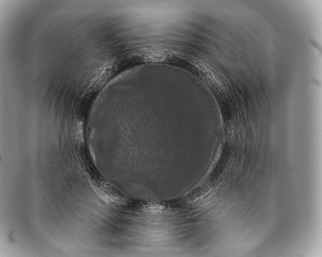 X0000096410598200802141542