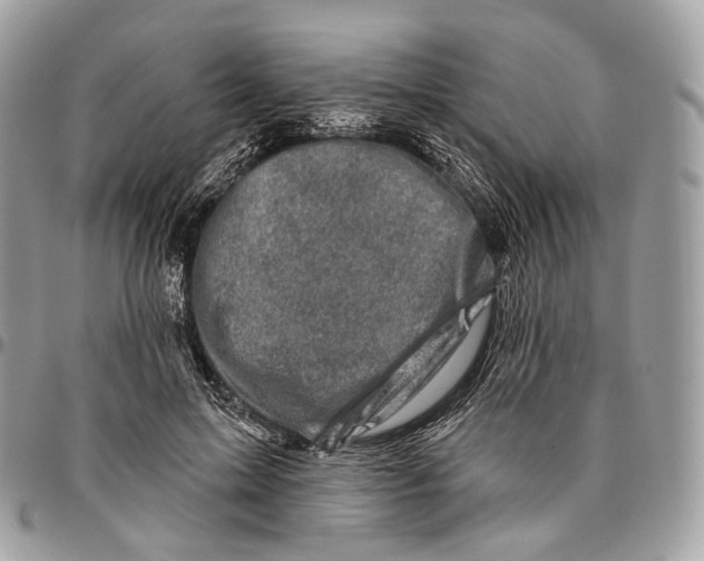 X0000096410599200802141542