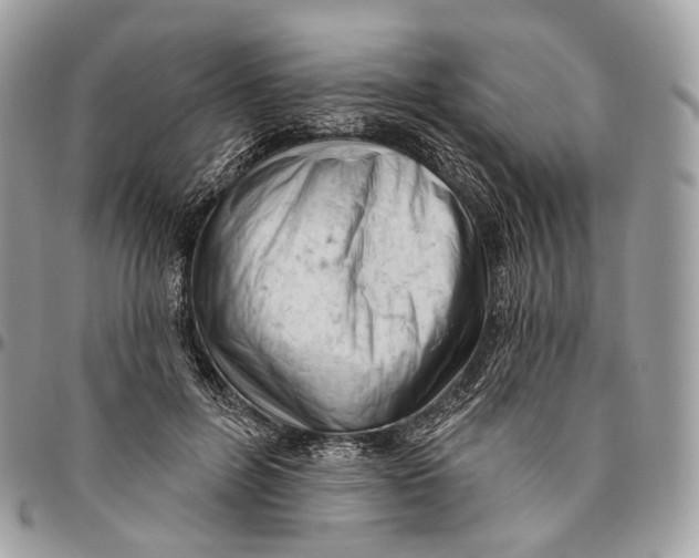 X0000096410600200802141542