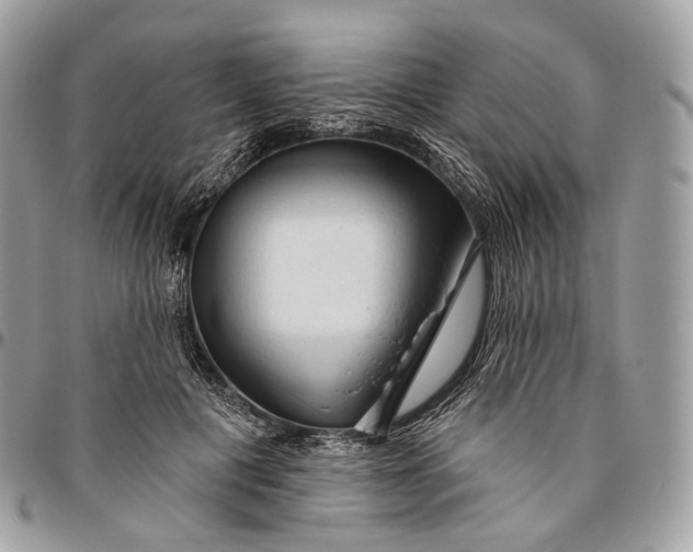 X0000096410601200802141542