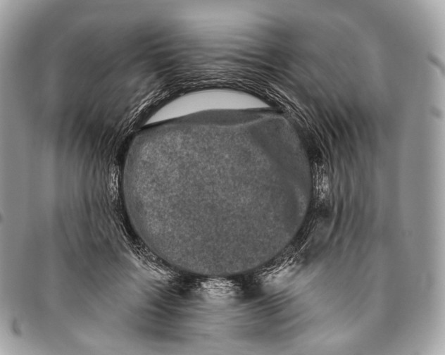 X0000096410603200802141542