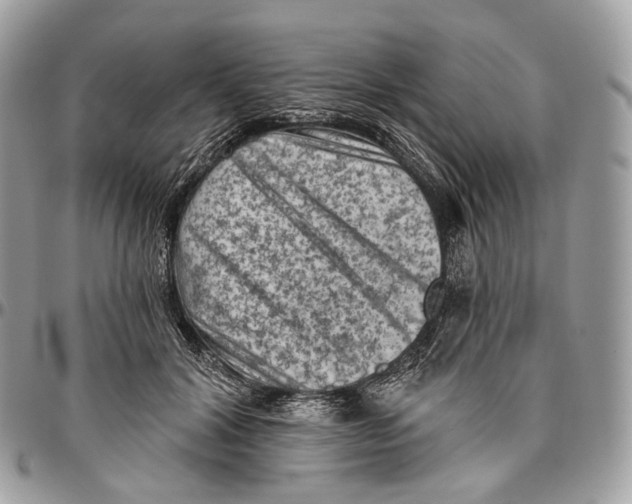 X0000096410604200802141542