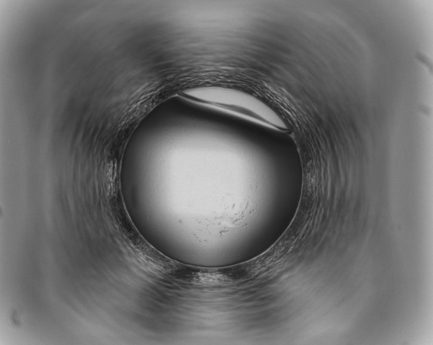 X0000096410605200802141542