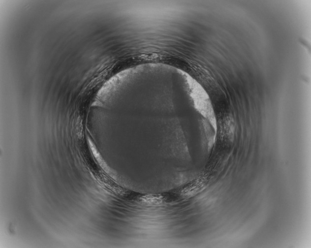 X0000096410606200802141542