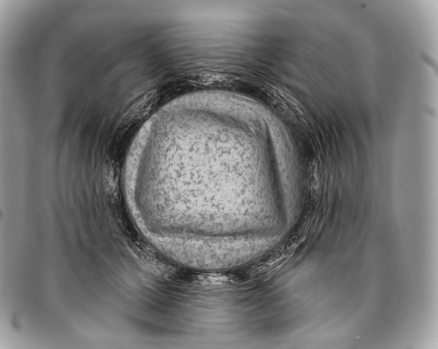 X0000096410607200802141542