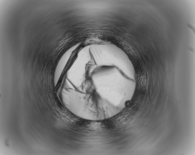 X0000096410609200802141542