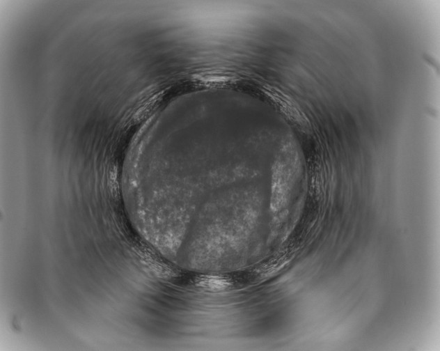 X0000096410610200802141542