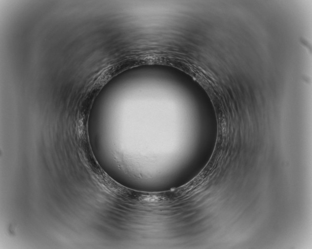 X0000096410611200802141542