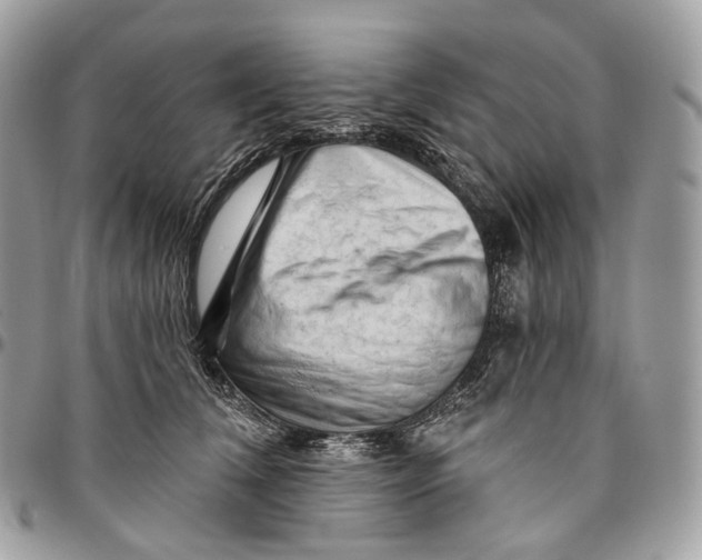 X0000096410612200802141542