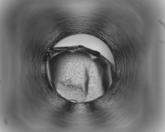 X0000096410613200802141542