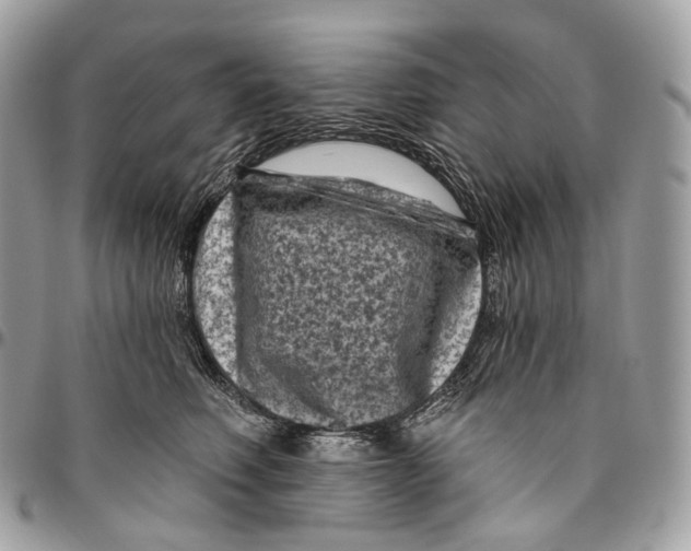 X0000096410614200802141542