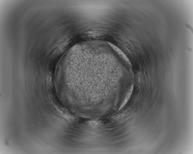 X0000096410615200802141542