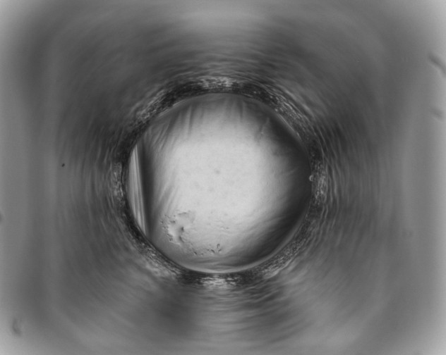 X0000096410616200802141542