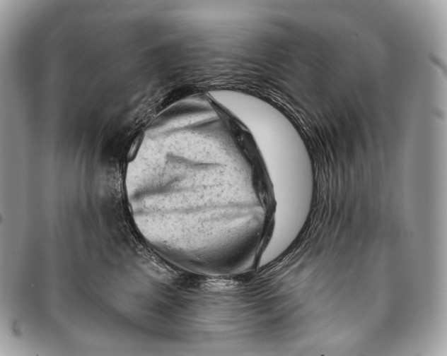 X0000096410617200802141542