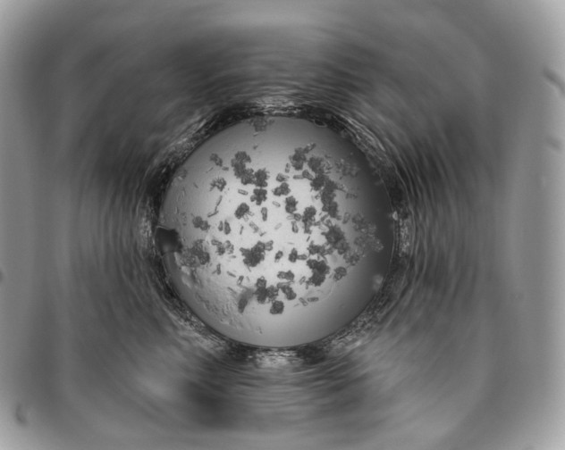 X0000096410618200802141542