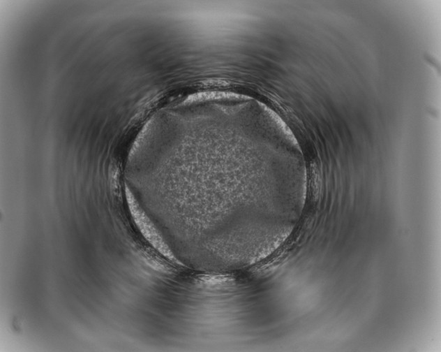 X0000096410619200802141542