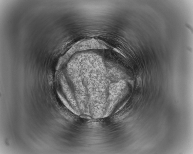 X0000096410620200802141542