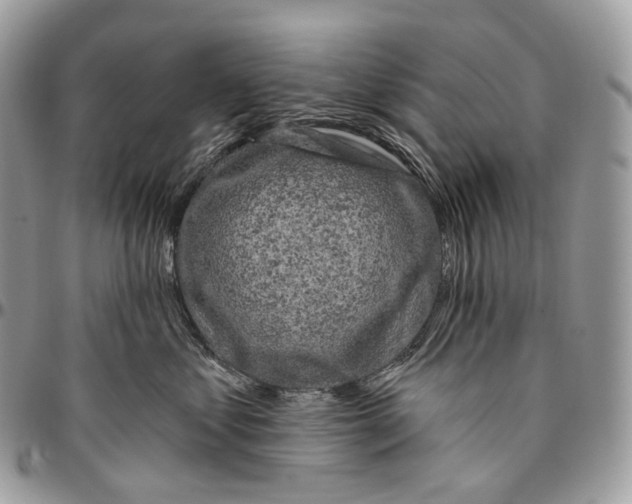 X0000096410621200802141542