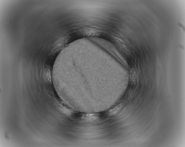 X0000096410622200802141542