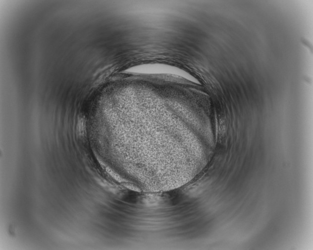 X0000096410623200802141542