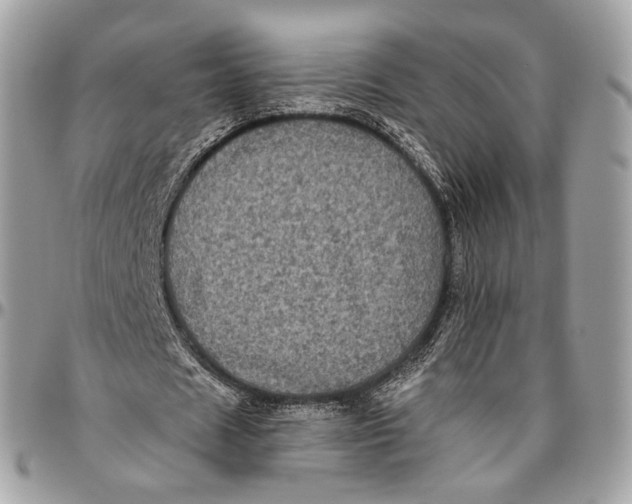 X0000096410625200802141541