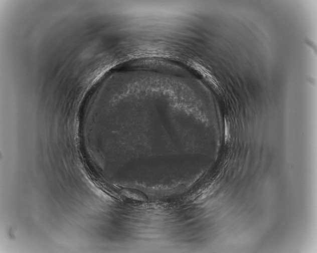 X0000096410627200802141541